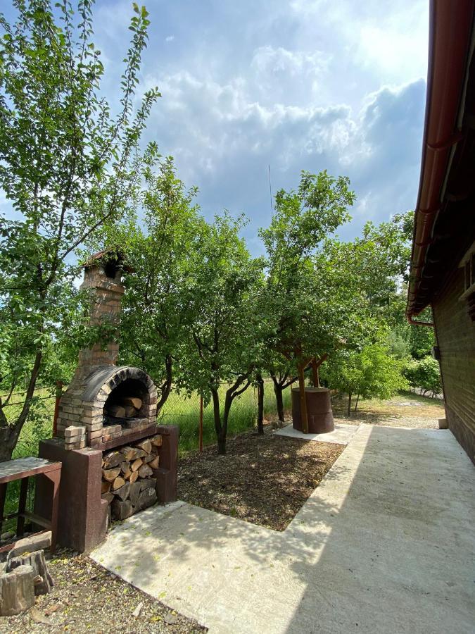 Ab'S Rustic Cabin Dejani Экстерьер фото